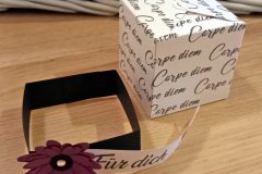 Geschenkbox Verpackung "Carpe Diem"