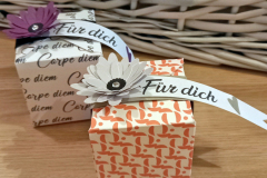 Geschenkboxen / Verpackung