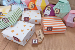 Weihnachtskalender Raupe
