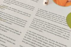 Brettspiel / Würfelspiel MALLEFIX So geht Auswandern heute.
