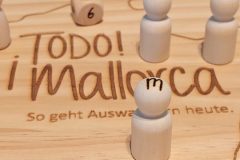 Brettspiel / Würfelspiel MALLEFIX So geht Auswandern heute.
