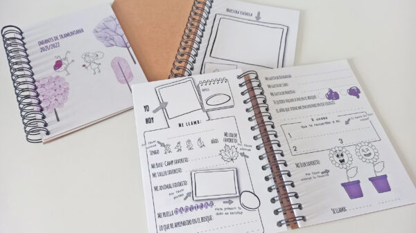 Lehrerbuch "Erinnerungen"
